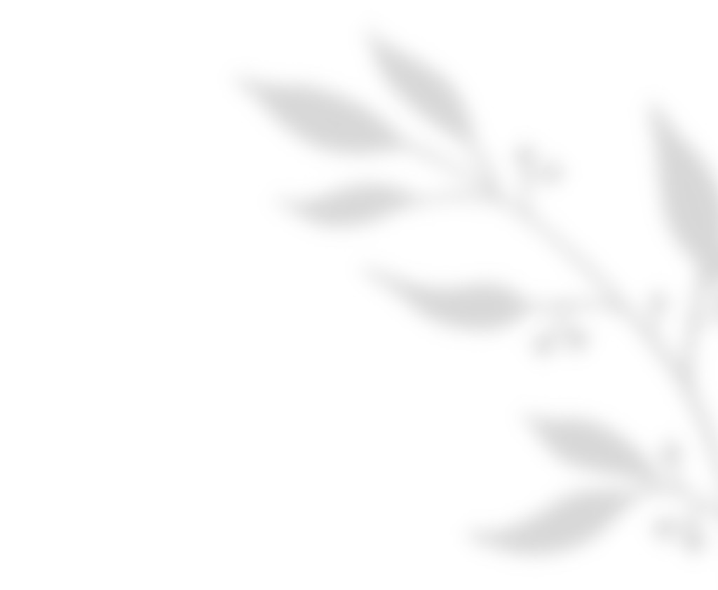 https://www.albertoghiddistudio.com/wp-content/uploads/2020/11/shadow_leaves_01.png